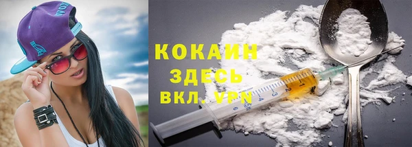 сатива Няндома