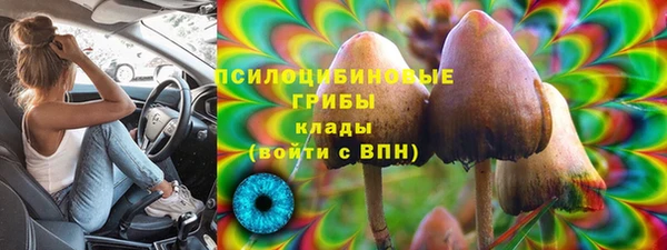 сатива Няндома