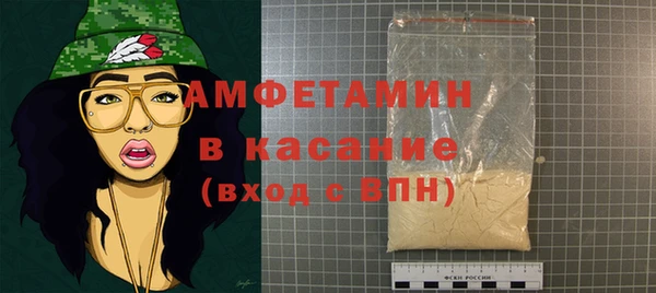 сатива Няндома
