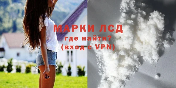 сатива Няндома