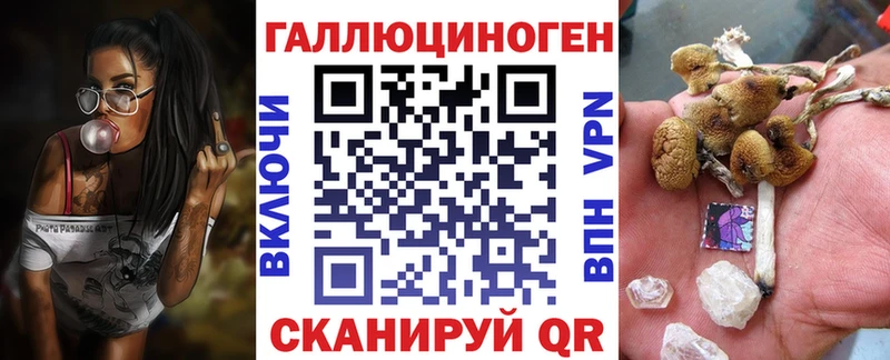 где продают наркотики  Калуга  Галлюциногенные грибы Psilocybine cubensis 