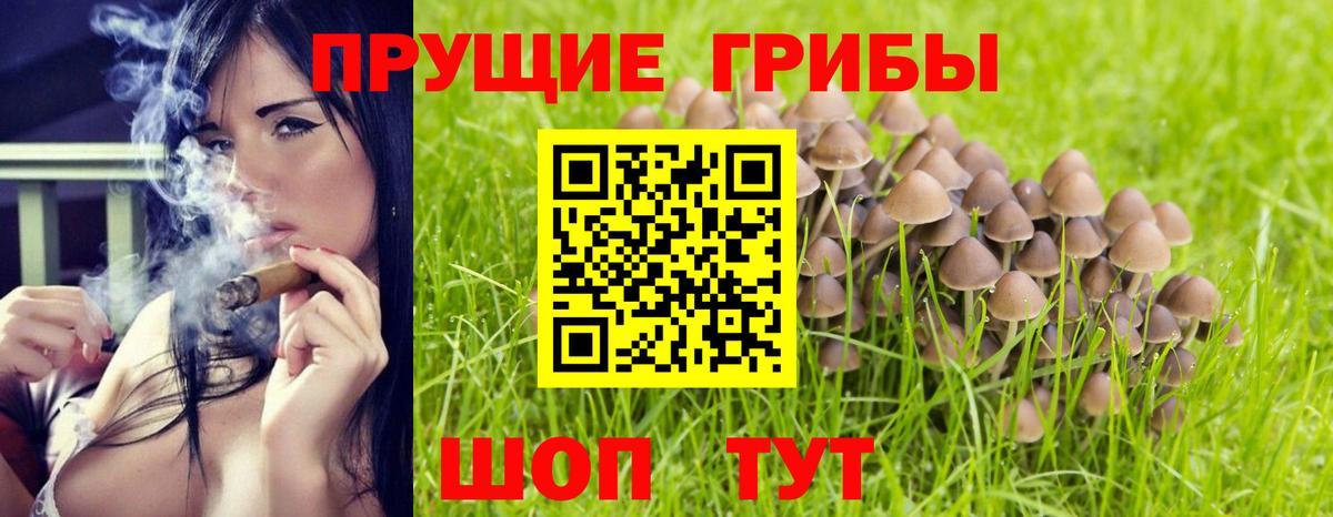 Калуга  Псилоцибиновые грибы Psilocybe  Вход с VPN 