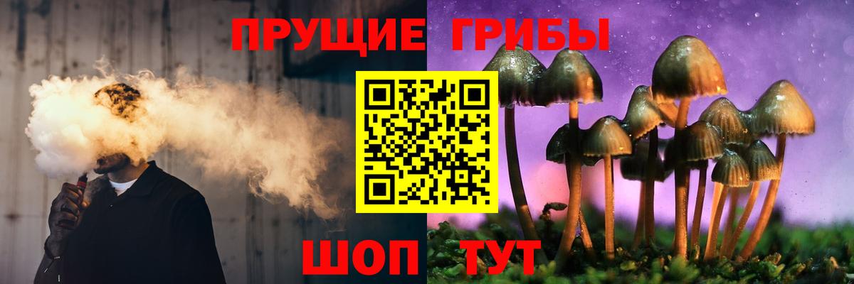 Галлюциногенные грибы мицелий Калуга